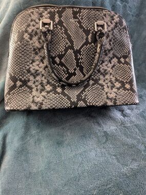 Aldo Snakeskin purse